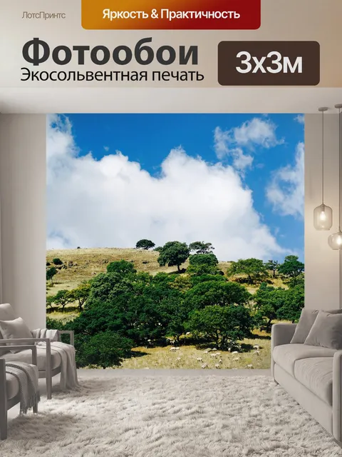 Фотообои Сардиния