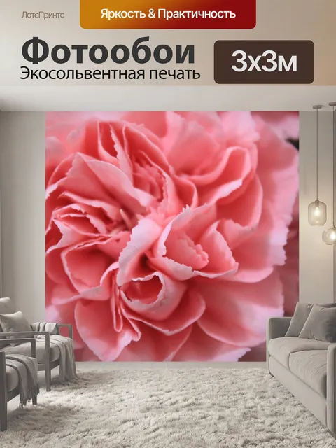 Фотообои Розовые вьющиеся лепестки