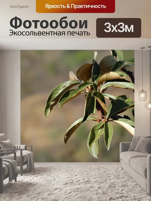 Фотообои Зеленые листья