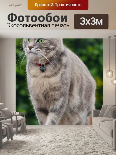 Фотообои кошка с зелеными глазами