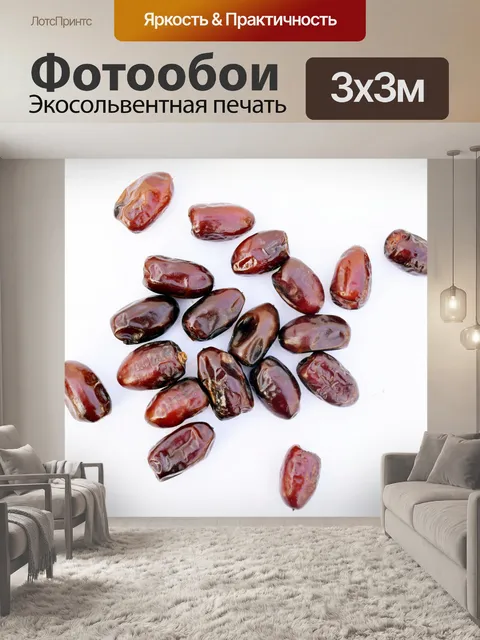 Фотообои Финиковая пальма