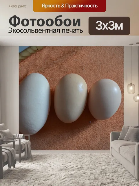 Фотообои Три яйца