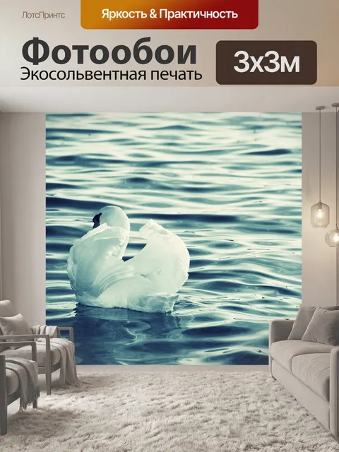 Фотообои Лебедь