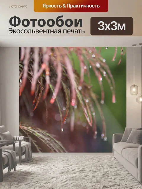 Фотообои Японский клен после дождя