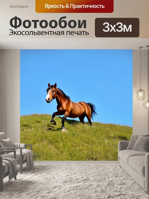 Фотообои пони карабкается на холм, чтобы посмотреть на мир с вершины