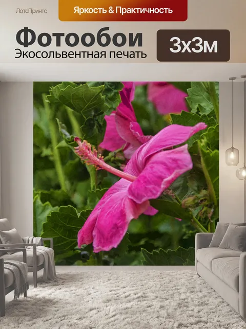 Фотообои Розовый цветок гибискуса