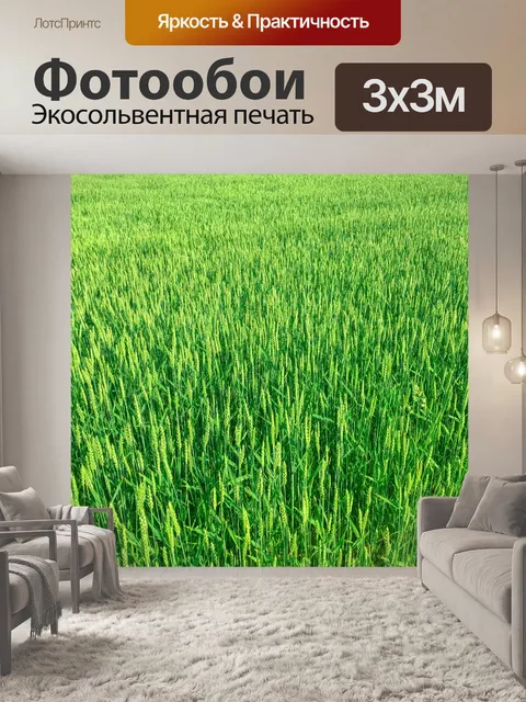 Фотообои Поле зеленого зерна