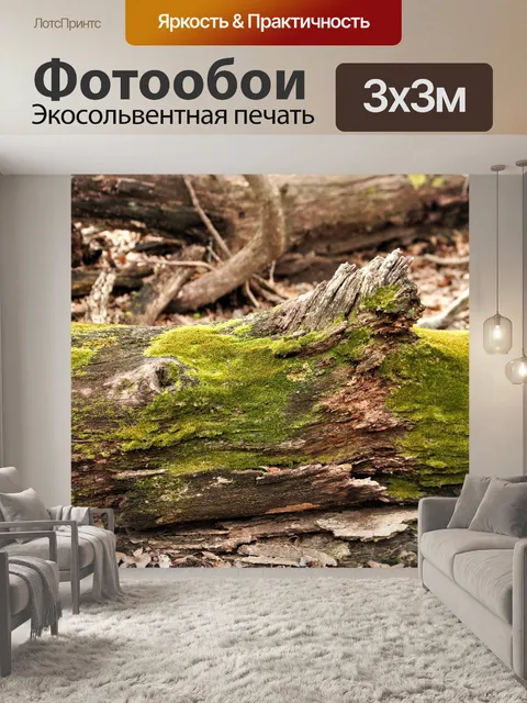 Фотообои Мох на упавшем дереве