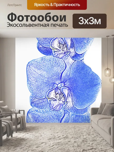 Фотообои Фаленопсис