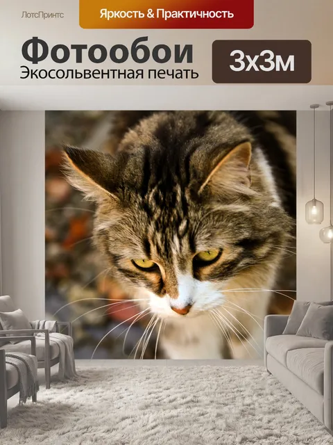 Фотообои Cat охоты