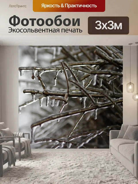 Фотообои Замороженные филиал