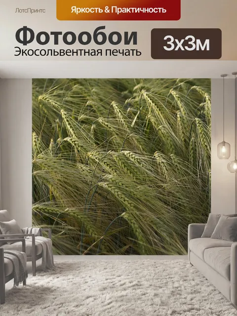 Фотообои Плоды поля ржаного ячменя