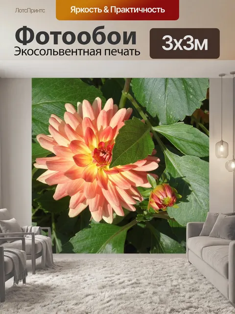 Фотообои Цветы