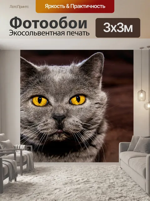 Фотообои Кот