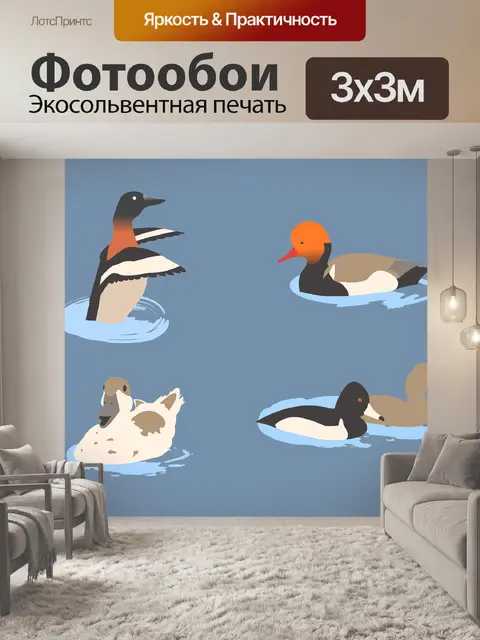 Фотообои Ducks
