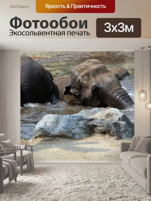 Фотообои В ванне со слонами 2,9