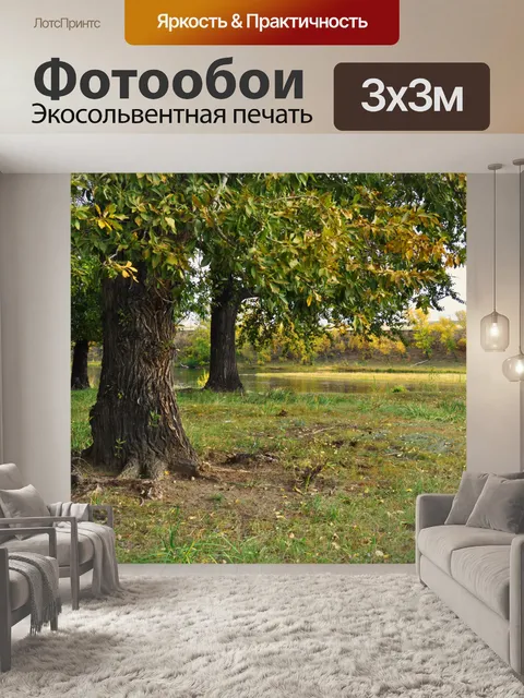 Фотообои Большой тополь