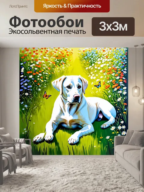 Фотообои лабрадор-ретривер лежит на зеленом лугу