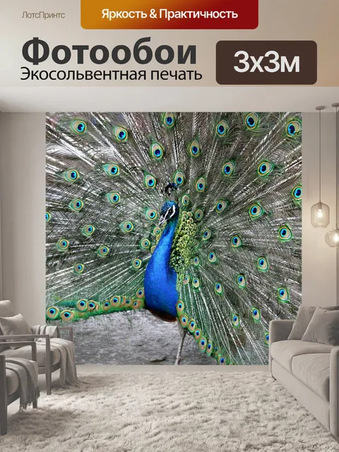 Фотообои Павлин