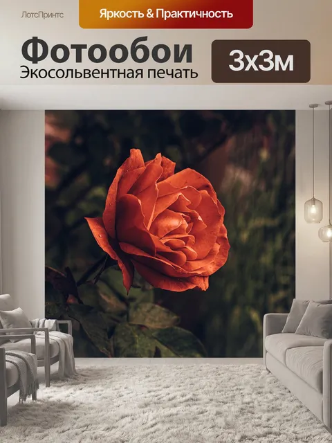 Фотообои Роуз