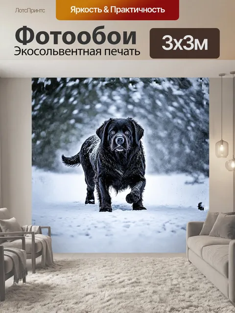 Фотообои мощный черный ньюфаундленд с размашистыми лапами пробирается сквозь сильную снежную бурю
