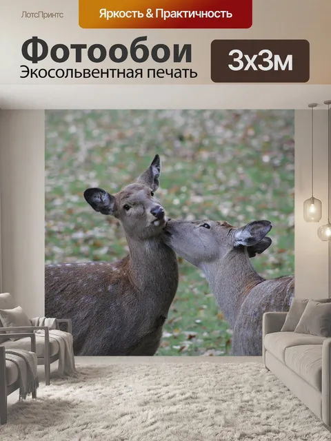 Фотообои Олень