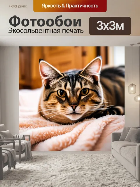 Фотообои кошка, лежащая на мягком пледе в уютной комнате