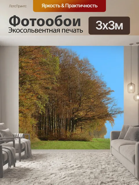 Фотообои Опушка леса