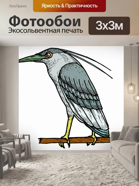 Фотообои (тропических) птицы