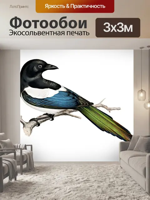 Фотообои Стикеры Сорока Ворон Клипарт