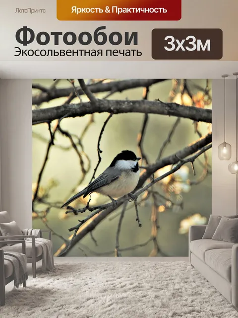 Фотообои Каролина синица весной 2