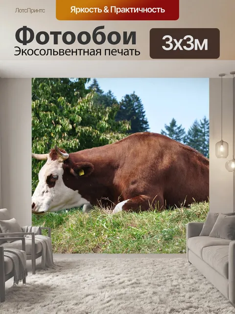 Фотообои Корова