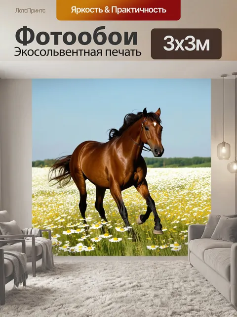 Фотообои лошадь, скачущая по ромашковому полю, с легким дуновением ветра