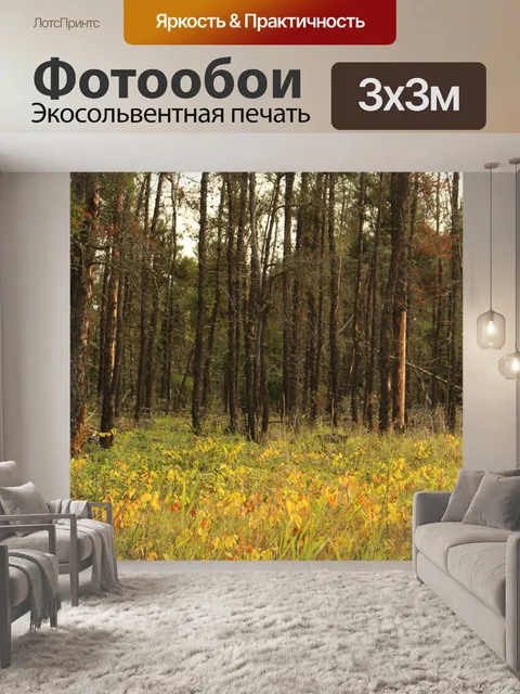 Фотообои Осень желтые листья Деревья