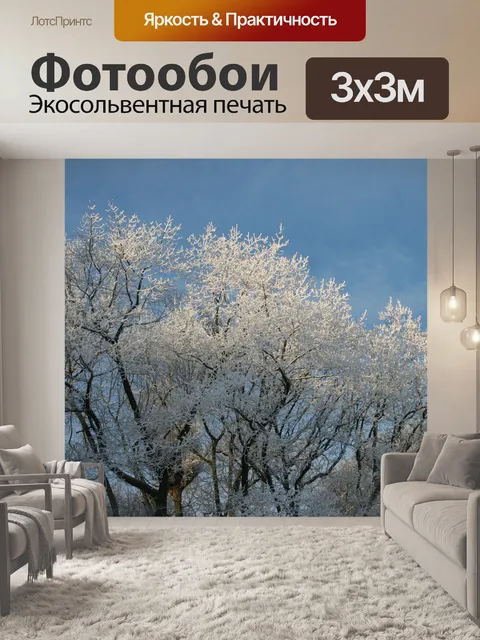 Фотообои Замороженные верхушки деревьев