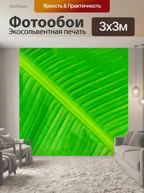 Фотообои Зеленый лист пальмы