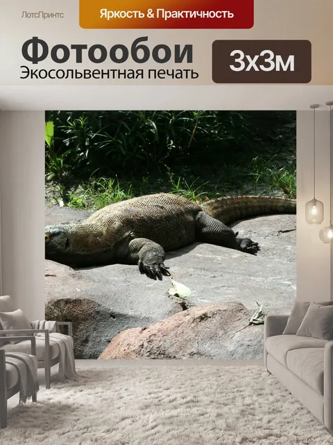Фотообои Дракон комодо