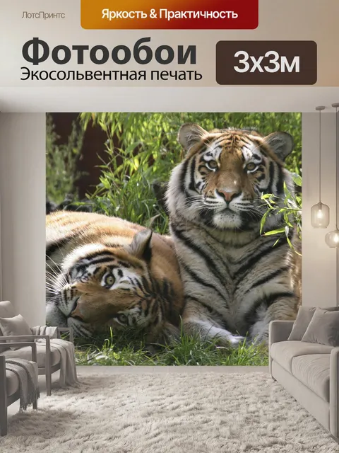Фотообои Тигры