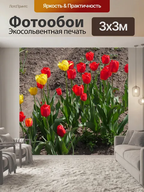 Фотообои Красные тюльпаны