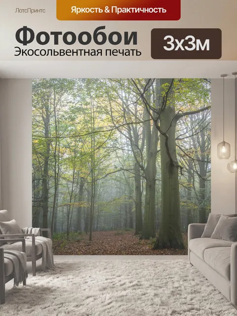 Фотообои Туманный лес
