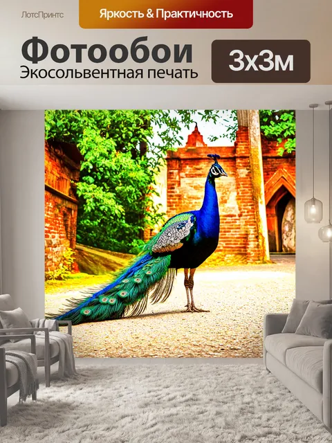 Фотообои павлин, распускающий свои перья на фоне старинной архитектуры зоопарка