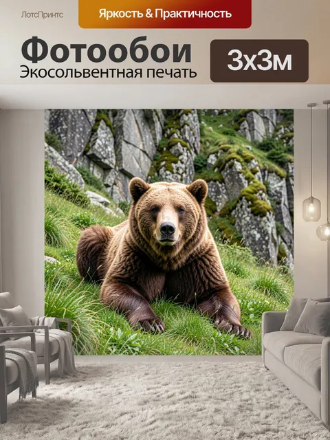 Фотообои Бурый медведь в горах