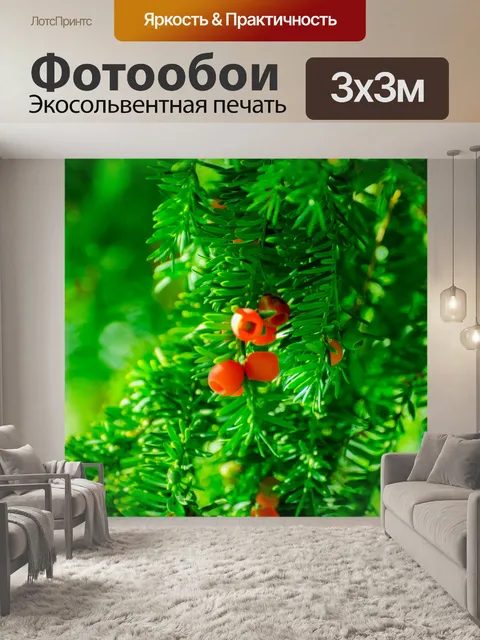 Фотообои Зеленая ветка иглы