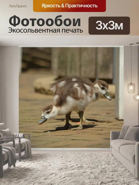 Фотообои Нил Гусь и 03 детенышей