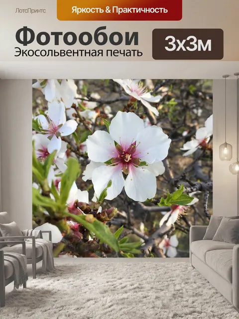 Фотообои Белый цветок