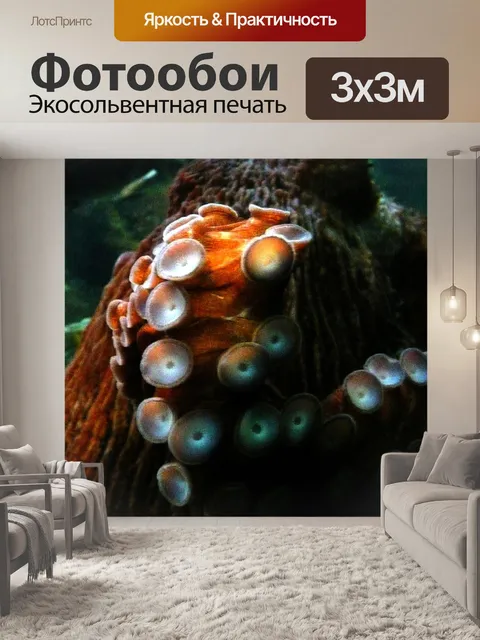 Фотообои Осьминог