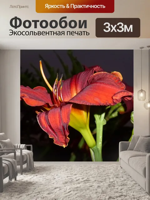 Фотообои ночное время лилия