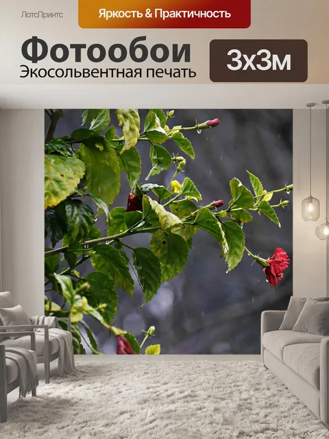 Фотообои Дождь