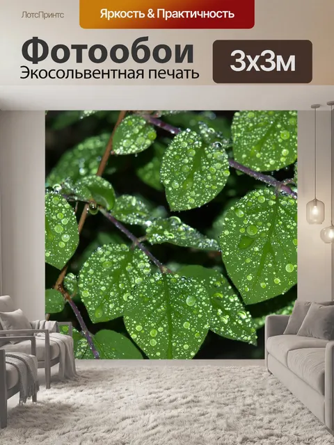 Фотообои Капля воды