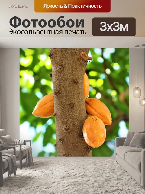 Фотообои Фрукты